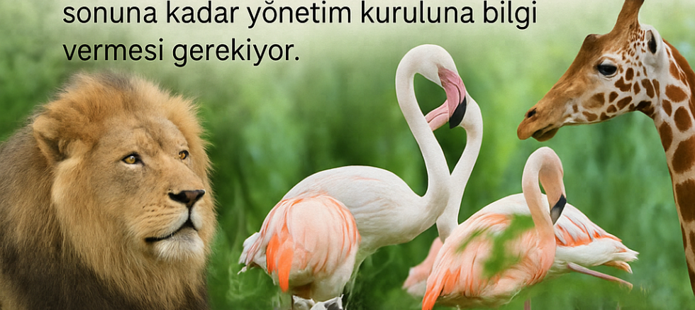DUYURU – SAFARİ ZAMANI!